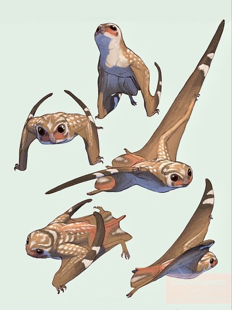 A Middle-Late Jurassic anurognathid pterosaur from Asia. ‬Its melanosomes suggest it may have been reddish-ginger in color. Flying muppets. 😄 Prehistoric Animals Dinosaurs, Creature Artwork, Ancient Animals, Prehistoric Art, Fantasy Beasts, Paleo Art, Monster Concept Art, Creature Drawings, Extinct Animals