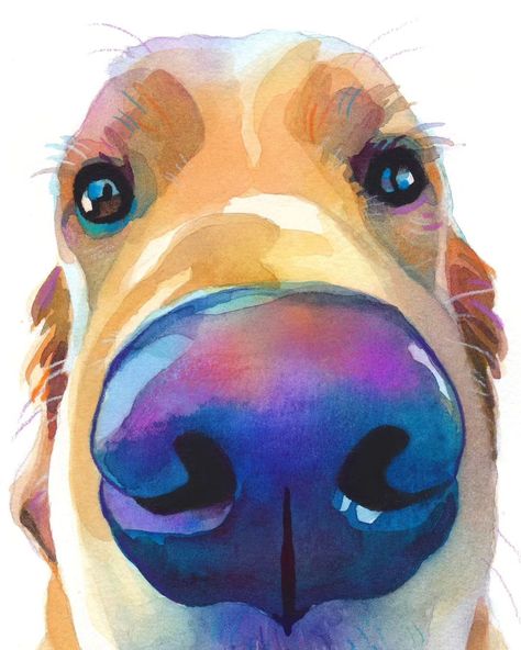 Sam Coleman | Some clips of my favourite portrait angle for greyhounds 🥰 . . #artreel #dogpainting #greyhound #watercolorist #whippet #processvideo… | Instagram Colorful Pet Portraits, Dog Painting Pop Art, Pop Art Pet Portraits, Animal Watercolour, Colorful Dog Art, Watercolor Dog Portrait, Dog Portraits Painting, Dog Portraits Art, Painted Dog