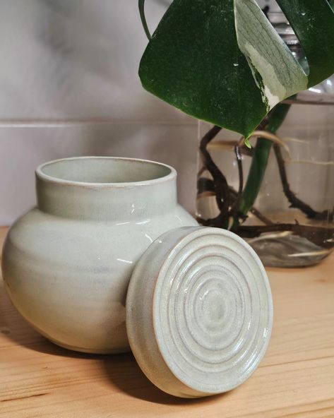 Concentric circles jar by D.R. #pottery #ceramics #clay #jar Lidded Vessels Ceramic Pottery, Ceramic Lidded Jars, Ceramic Containers, Coin Jar, Pottery Kitchen, Pottery Jars, Clay Classes, Pottery Inspo, Clay Sculpting