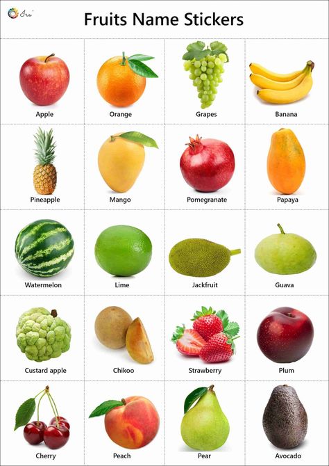 List Of Fruits: List Of 40+ Popular Fruit Names With Fruits Chart, Fruits Name With Picture, Fruits And Vegetables Names, English Facts, Fruits List, Fruits Name, Fruits Name In English, Name Of Vegetables, Fruits And Vegetables List