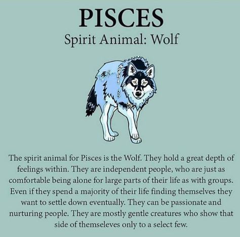 Zodia Pești, Pisces Personality, All About Pisces, Pisces Horoscope, Pisces Astrology, Pisces Traits, Pisces Girl, Pisces Quotes, Pisces Love