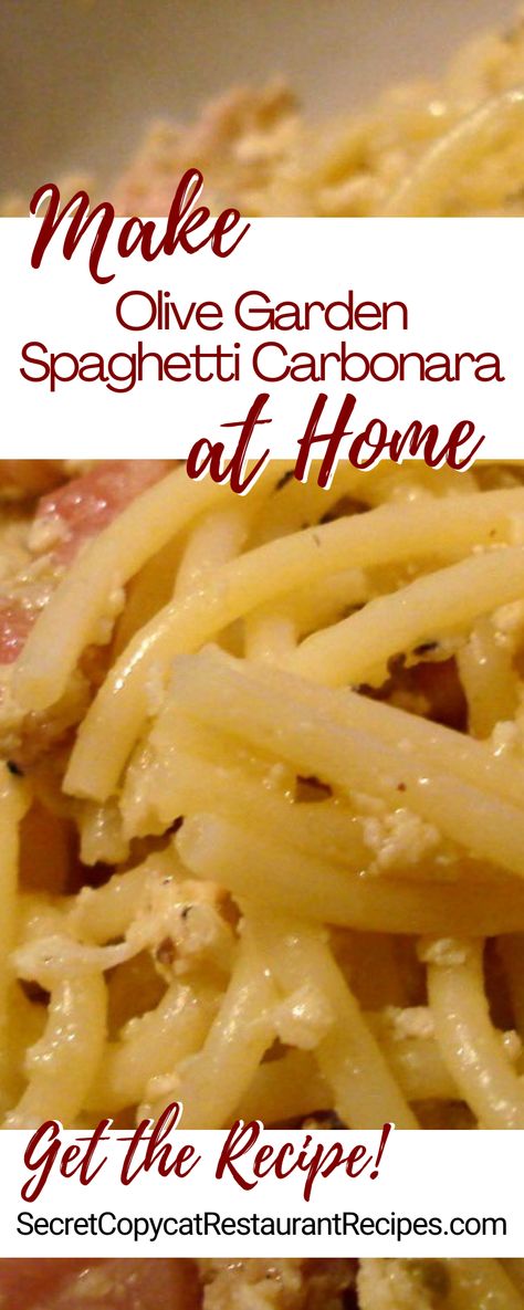 Olive Garden Carbonara Pasta, Olive Garden Spaghetti Meat Sauce, Chicken Carbonara Pasta Olive Garden, Olive Garden Carbonara, Olive Garden Carbonara Recipe, Olive Garden Spaghetti Sauce Recipe, Italian Board, Copycat Food, Bacon Carbonara