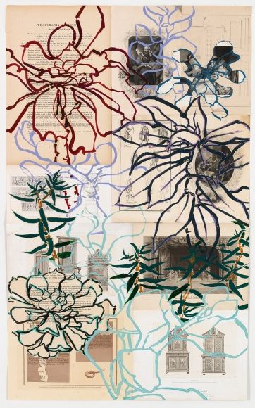 Pattern And Decoration, Natural Form Artists, Robert Kushner, Grafika Vintage, Baroque Decor, Napa Ca, Collage Art Mixed Media, A Level Art, Sketchbook Inspiration