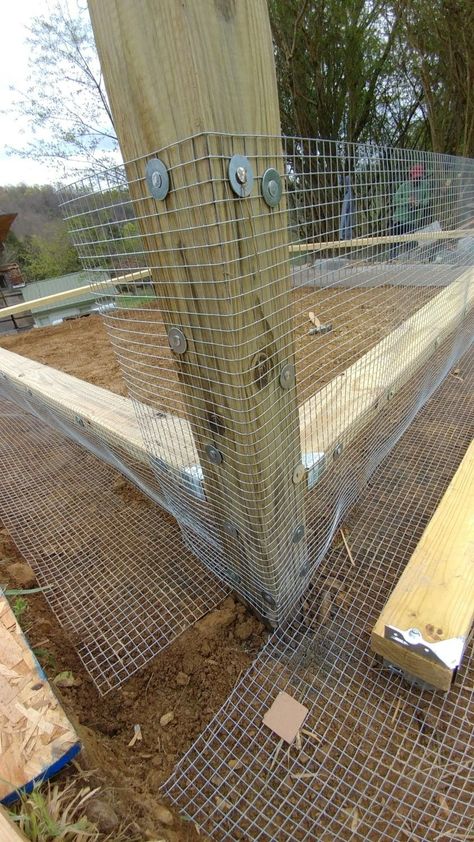 Chicken Run Off Coop, Chicken Coop Edging, Best Diy Chicken Coop, Paint Chicken Coop Wire Black, Amercauna Chickens, Diy Chicken Run Ideas Easy Cheap, Tree House Chicken Coop, Chicken Coop Organization Ideas, Chicken Coop Add On Ideas