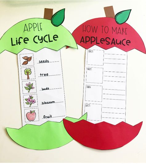 We love celebrating Apple Day in first grade! Check out these ideas for Apple Day Stations and apple activities for the classroom! Read about making easy crockpot applesauce in the classroom, learning about the apple life cycle, completing apple centers, making apple crafts, and learning about Johnny Appleseed! PLUS grab some free apple activity pages for planning your apple unit this year! Make an Apple KWL chart and write some new facts about apples! Perfect for the elementary classroom! Applesauce In The Classroom, Apple Centers, Apple Literacy, Apple Center, Apple Day, Apple Kindergarten, Apple Crafts, Crockpot Applesauce, Apple Life Cycle