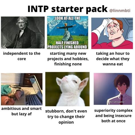 Intp Relationships, Intp Female, Intp Mbti, Istp Personality, Intp Personality Type, Intp T, Intp Personality, Intj Personality, Intj Intp