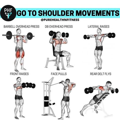 Shoulder Boulder Workout, Shoulder And Legs Workout Men, Shoulder Exercise Gym, Shoulder Gym Workout For Men, Dumbbell Shoulder Exercises, Dumbell Shoulder Workout For Men, Shoulder Exercises With Weights, Push Workout Exercises, Shoulder Exercise For Men