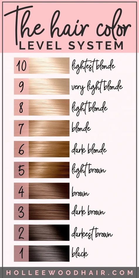 Hair Color Number Chart, Levels Of Hair Color, Hair Color Levels, Hair Color Wheel, Blonde Hair Color Chart, Different Shades Of Blonde, Hair Levels, How To Dye Hair At Home, Beige Blond