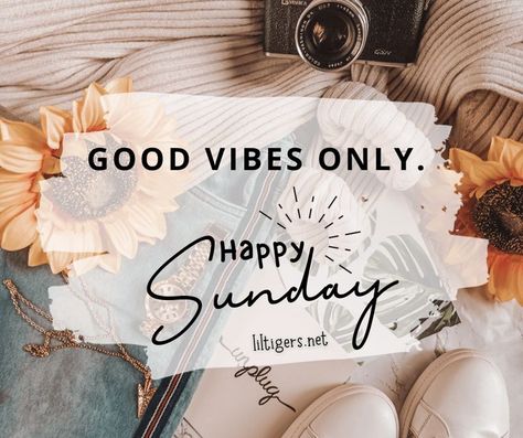 100 Best Happy Sunday Wishes Happy Sunday Wishes, Sunday Sayings, Happy Sunday Messages, Sayings For Kids, Sunday Messages, Pun Quotes, Sunday Wishes, Positive Mind Positive Vibes, Sunday Blessings