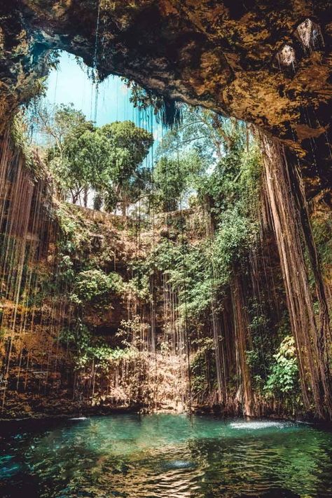 Cenote Ik Kil (or Cenote Chichen Itza)﻿. Check out 9 of the best cenotes near Cancun Mexico! You will not want to miss these on your holiday getaway! Perfect for honeymooners! #cancun #avenlylanetravel #avenlylane #mexicovacation #travelinspiration #cenote #cenotesmexico #cenotes #beautifulplaces Cenotes Cancun, Cancun Trip, Tulum Travel, Nature Architecture, Mexico Vacation, Cancun Mexico, Tulum Mexico, Dream Travel Destinations, Amazing Travel Destinations