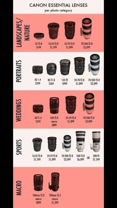 Different Lenses Photography, Photography Ideas Beginners, Canon Essential Lenses, Dslr Camera For Beginners Photography Basics, Beginners Photography Ideas, Camera Lens Canon, Color Theme Photography, Photography Lens Guide, Self Taught Photography