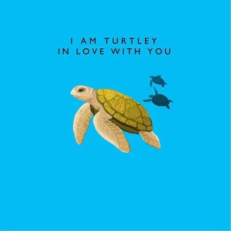 Humour, Turtles Quotes, Turtle Quotes, Puns Quotes, Save The Turtles, Turtle Time, Turtley Awesome, Turtle Sea, Love Puns