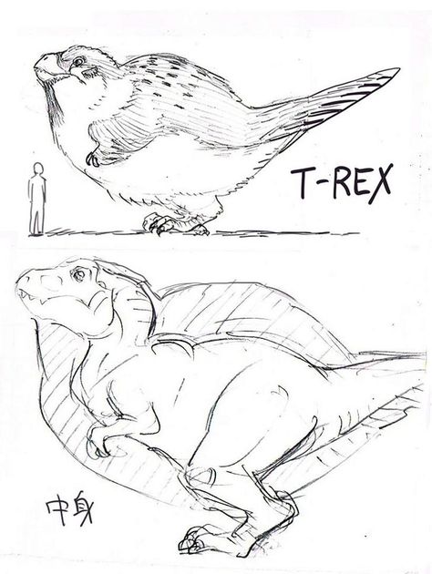 Don't under-feather your dinosaurs! - Album on Imgur Feathered T Rex Art, Vic Fuentes, T Rex With Feathers, Fluffy Dinosaur Art, Dinosaurs With Feathers, Fluffy Dinosaur, Jurassic Park Art, Bird Dinosaur, Feathered Dinosaurs