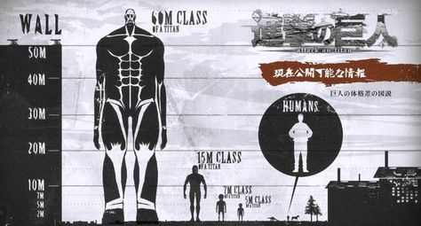 The scale of all Titans :) Levi Titan, Aot Titans, Titan Oc, Otaku Problems, Attack On Titan Episodes, Survey Corps, Titans Anime, Anime Reviews, Attack On Titan Anime