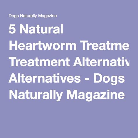 Nature, Dundee, Heart Worms In Dogs, Can Dogs Eat Oranges, Pet Remedies, Worms In Dogs, Heartworm Prevention, Dog Remedies, Pet Ideas