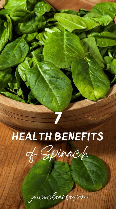 Is it good to eat spinach everyday | health benefits of spinach juice | health benefits of spinach smoothie | Reasons Why Spinach Is Called A Superfood | Is Eating Spinach Every Day Good for You | What does spinach do to your body Health Benefits Of Spinach, Benefits Of Spinach, Food Allergy Symptoms, Cook Fresh Spinach, Fruits And Vegetables List, Smoothie Protein, Spinach Smoothie Recipes, Spinach Health Benefits, Spinach Healthy