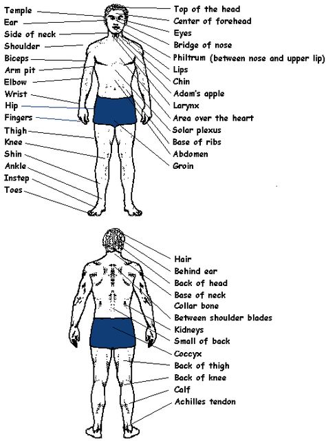 Knowledge of pressure points and pressure point techniques is a useful addition to ones self defense arsenal. When appropriately used, they provide an effective means of controlling an adversary without necessarily inflicting serious injury.   Listed below are a few pressure points on the human body. #RasSpirit Body Pressure Points, Jiu Jutsu, Krav Maga Techniques, Learn Krav Maga, Self Defense Moves, Pressure Point, Self Defense Techniques, Ju Jitsu, Martial Arts Techniques