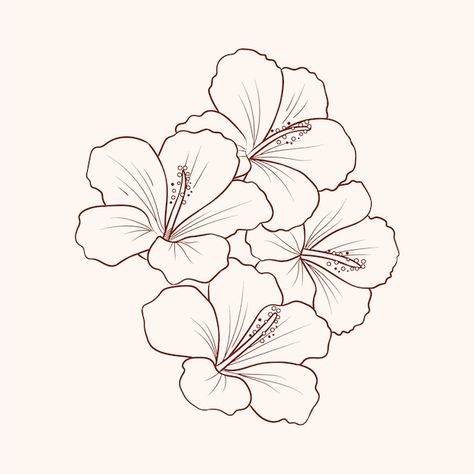 Tropical Flower Line Drawing, Black White Flower Drawing, Symmetrical Flower Drawing, Hawaiian Flower Outline, Flowers Graphic Illustration, Black Line Flowers, Big Flowers Drawing, Plant Outline Drawing, Flower Outline Drawing Simple