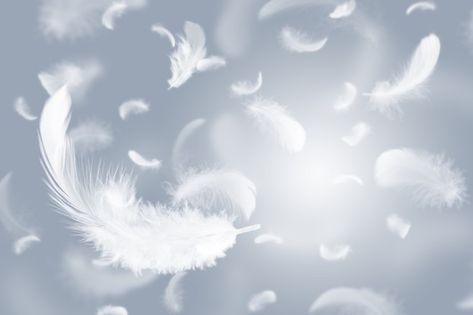 Group of light white feathers floating i... | Premium Photo #Freepik #photo #bird #sky #wallpaper #art Feathers, Floating In The Air, Sky Wallpaper, Photo Grouping, Wallpaper Art, White Feathers, Light White, Bird Feathers, Premium Photo