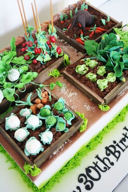 Vegetable Garden Cake - For all your cake decorating supplies, please visit craftcompany. co uk Allotment Cake, Vegetable Garden Cake, Garden Cake, Farm Cake, Garden Cakes, Unique Cakes, ดินปั้น Polymer Clay, Novelty Cakes, Cake Decorating Supplies