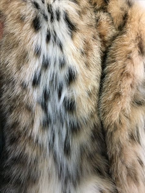 Bobcat pelt would make a fantastic fur collar! Cat Fur Aesthetic, Lynx, Fur Aesthetic, Coyote Fur, Fur Pillow, Spokane Wa, Cabin Life, Chardonnay, Fur Collars