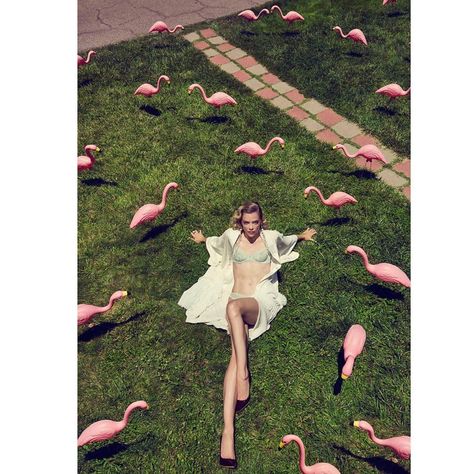 A girl can never have to many flamingos _- hooray ❤️❤️❤️🤘🏻👊🏻#Repost @jamienelson6 ・・・ The stunning @jaime_king #jaimeking for @galore mag 🍩🐰💕#girlcult @girlcultfest. #Makeupartist @mynxiiwhite #hair @giannetos #stylist @mandelkorn #jamienelson #fashionphotographer @judycaseyinc #production @princeandjacob #pinkflamingos #pinkflamingo #galore #galoremag #supermodel #actress #mom #inspired #love #pink #vintagestyle #floral #fashionphotography Diane Arbus, Los Angeles, Lipstick On Mirror, Star Bathing Suit, Pink Fashion Editorial, Pink Motel, Jamie Nelson, Jamie King, Jaime King