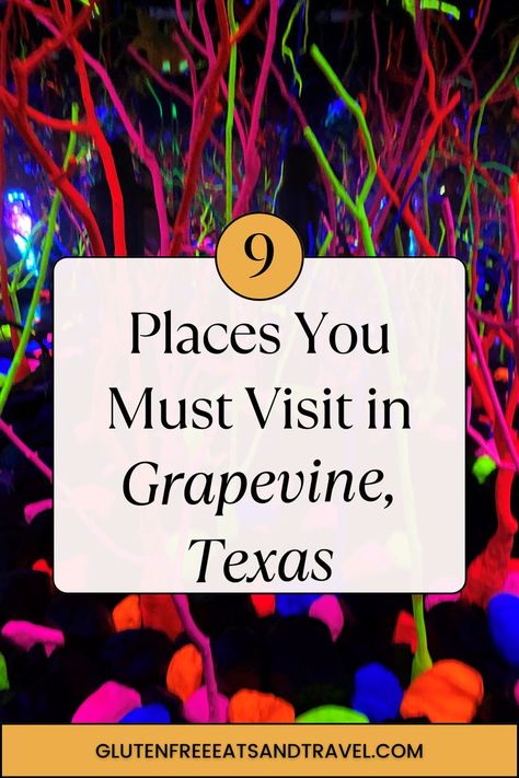 Gluten-Free Eats, Fun for the kids, and fun for just the grown ups in Grapevine, Texas Best Tamales, Grapevine Texas, Meow Wolf, Texas Homes, Tamales, Christmas Vacation, Small Town, Fun Things, Small Towns
