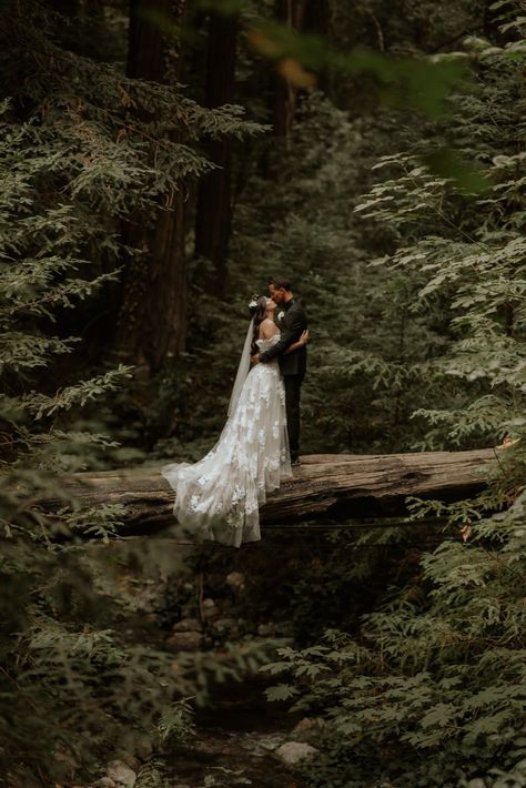 Flora Gibson Photography Big Sur California wedding and elopement photographer Night Elopement, The Wedding Bliss, Intimate Gathering, Redwood Wedding, Forest Theme Wedding, Anniversary Shoot, Joshua Tree Wedding, Big Sur Wedding, Enchanted Forest Wedding