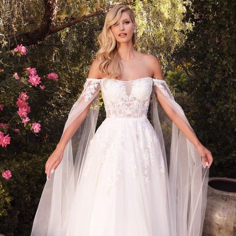 Sheer Off The Shoulder Wedding Dress, Diaphanous Gown, Cape Dress Long, Beautiful Ballgown, Train Fabric, Cape Wedding, Off Shoulder Wedding Dress, Long Cape, Formal Occasion Dress