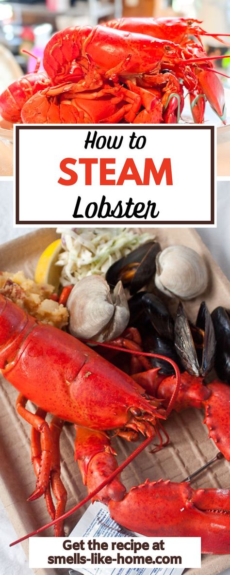 Want to know how to cook lobster? There are so many ways! Here, as a lobster lover living in Maine, I’m giving you a full guide on how to steam lobster! It’s way easier than you might think so let’s dig in! Living In Maine, Cook Lobster, Steamed Lobster, Live Lobster, How To Cook Liver, Lobster Dinner, Steam Recipes, How To Cook Lobster, Fish Tacos Recipe