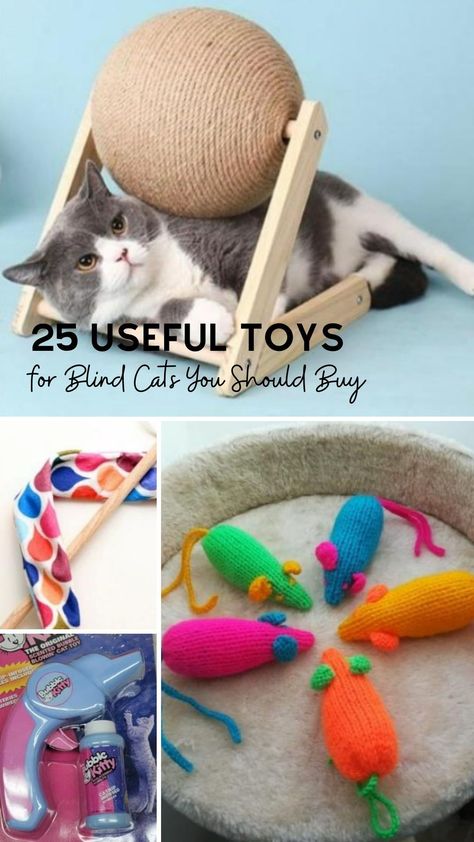 Blind cats may lose their ability to see, but they will never lose their great instinct. That’s the reason why you should train them to hone their instincts. Down below, you’ll see a list of cool toys for blind cats that can help them train their instinct. #christmasideas #giftideas #thebestgift #christmasgiftideas #usefulgifts #christmasgift #gifts #giftsforchristmas #coolgifts Diy Cat Enrichment, Cat Enrichment, Cool Cat Toys, Mouse Toy, Interactive Cat Toys, Catnip Toys, Unique Cats, Scratching Post, Interactive Toys