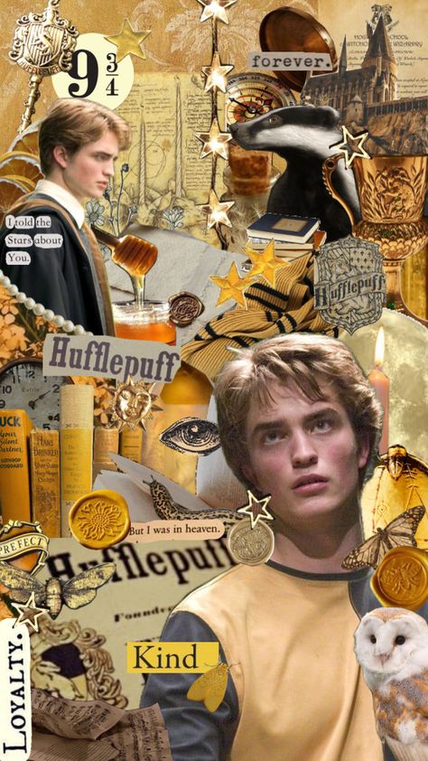 #cedricdiggory #harrypotter #hufflepuff #gobletoffire #vintage #nature #quotes #movies #robertpattinson Nature, Hufflepuff Wallpaper, Tapeta Harry Potter, Twilight Edward, Goblet Of Fire, Harry James Potter, Cedric Diggory, Harry Potter Wallpaper, Instagram Wallpaper