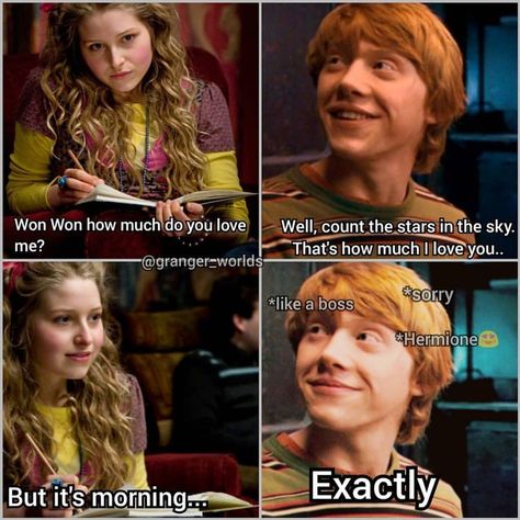 Parcel Tongue Harry Potter, Romione Memes, Harry Potter Mems, Citate Harry Potter, Glume Harry Potter, Funny Harry Potter Jokes, Hp Harry Potter, Harry Potter Memes Hilarious, Harry Potter Feels