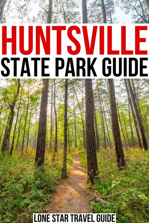Huntsville State Park is home to Piney Woods hikes and Lake Raven views--perfect for exploring East Texas! best things to do in huntsville state park texas | huntsville texas travel | things to do in huntsville tx | piney woods texas | texas piney woods places to visit | best places to visit in huntsville texas | best places to visit in east texas | hiking in east texas | best state parks in east texas | unique state parks in texas Texas Hiking, Huntsville Texas, Hiking In Texas, Dallas Travel, Austin Travel, Texas State Parks, Usa Places To Visit, Texas Vacations, Los Angeles Travel