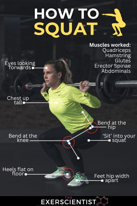 Woman squatting with a barbell on her back. She is bent at the tip, and knee in a good squat position. How To Squat Properly With Bar, Barbell Squats Women, Squats With Weights Bar, How To Squat, Squat With Barbell, Squat Videos, Barbell Back Squat, Squats Muscles Worked, Squat Properly