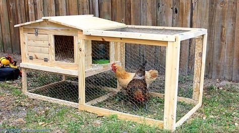 Small Chicken Coop, Easy Diy Chicken Coop, Small Chicken Coops, Easy Chicken Coop, Backyard Chicken Coop Plans, Chicken Coup, Diy Chicken Coop Plans, Coop Design, Coops Diy