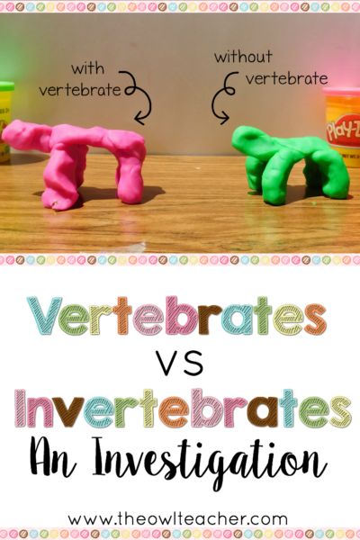 Studying vertebrates and invertebrates makes for fun lessons for students - like this one, where kids get to make "animals" out of playdough and then stack wooden blocks on top! Read more about how to implement this lesson in this post. Vertebrates And Invertebrates Activities, Classifying Animals, Owl Teacher, Science Pins, Vertebrates And Invertebrates, Life Science Activities, Science Labs, Animal Classification, Interactive Science