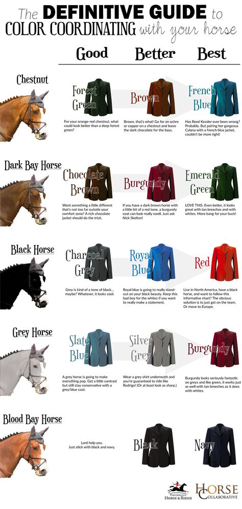 Horse Tips, Cai Sălbatici, Horse Facts, Rasy Koni, Horse Fashion, Bay Horse, Grey Horse, Horse Blankets, Horse Equestrian