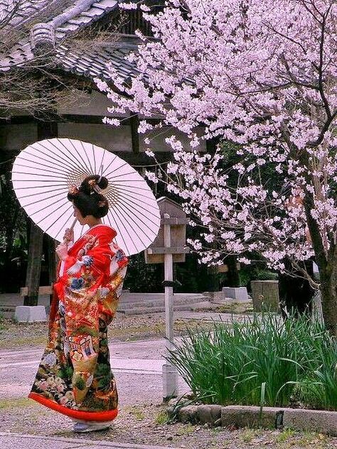 5 Best Asian Destinations For Female Solo Travelers – travelingram.wordpress.com Japanese Umbrella, Japan Traditional, Kimono Japan, Turning Japanese, Geisha Art, Geisha Girl, Japan Aesthetic, Japanese Geisha, Art Japonais