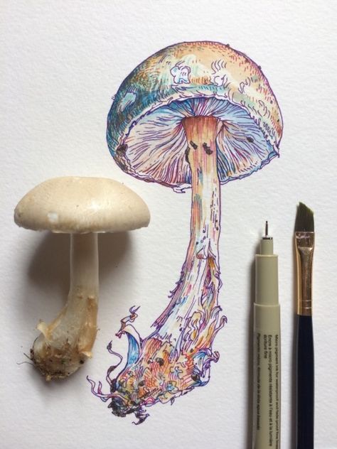 Noel Badges Pugh Mushroom Artwork, Mushroom Watercolor, Watercolor Mushroom, Seni Cat Air, Arte Obscura, Plant Drawing, Lukisan Cat Air, Mushroom Art, Arte Sketchbook