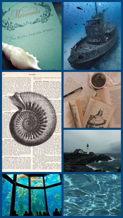 Ocean Academia, Sailor Aesthetic, Academia Aesthetic Outfit, Nautical Aesthetic, Aphrodite Aesthetic, Aesthetic Types, Water Aesthetic, Marine Biologist, Aesthetic Board