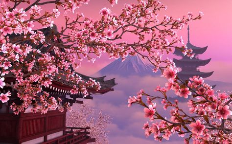 Wallpaper Komputer, Anime Cherry Blossom, 컴퓨터 배경화면, Japanese Background, Japan Cherry Blossom, Wallpaper Estetika, Cherry Blossom Wallpaper, Cherry Blossom Background, Wallpaper Rose