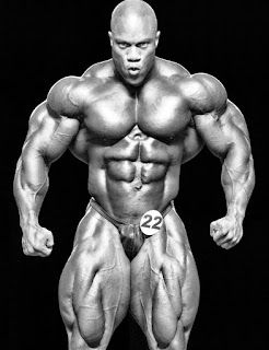 MR. OLYMPIA LIST FROM 1965 - 2020 Mr Olympia Winners, Phil Heath Bodybuilding, Bodybuilding Pictures, Gym Muscle, Ronnie Coleman, Phil Heath, Gym Weights, Heavy Weight Lifting, Mr Olympia