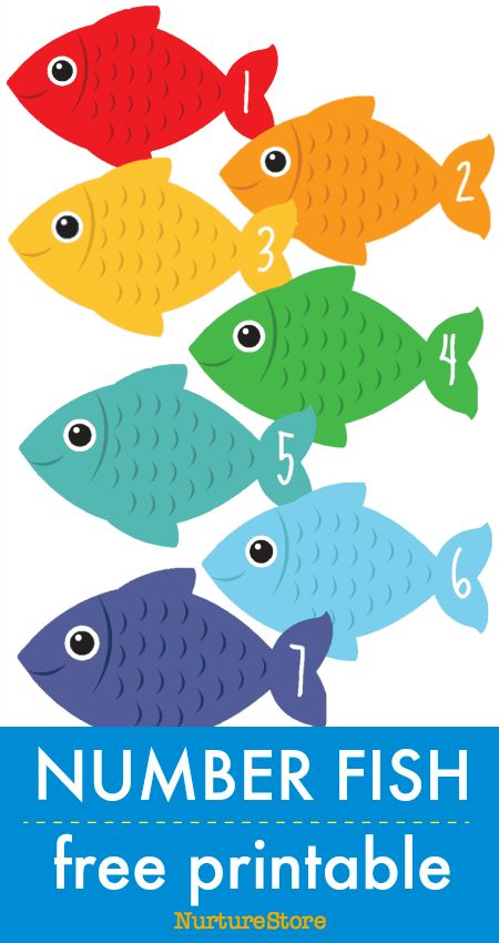 number fish free printable math counting cards Fish Numbers Free Printable, Counting Fish Free Printable, Free Fish Printables, Fish Printables Free, Maths Learning, Printable Fish, Fish Printables, Fish Activities, Fish Template