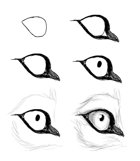 Modelo de olho de lobo Drawing Eyes, Wolf Sketch, Wolf Eyes, Realistic Eye Drawing, Výtvarné Reference, Siluete Umane, Seni 2d, Wolf Drawing, Animal Sketches