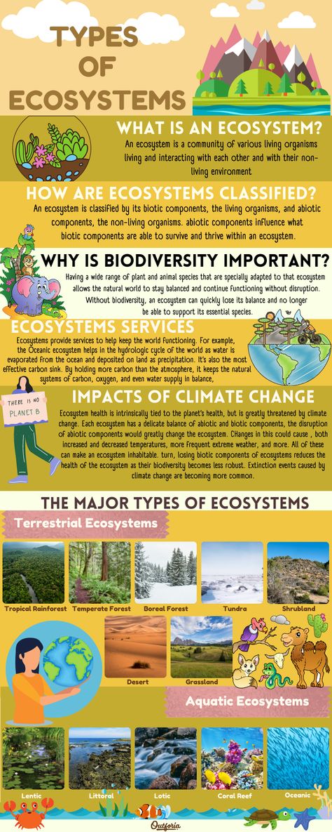 We all live in ecosystems and have an impact on how they work and the other species that are able to live in our shared. So what is an ecosystem? What kind of ecosystem and why are ecosystems important? Read on to see our ultimate ecosystem guide, including what an ecosystem is, why they’re important, and twelve different kinds of ecosystems found in the world. Know Your Ecosystem Project, Ecosystem Coloring Pages, Ecosystems Projects Grade 7, Ecosystem Classroom Decorations, Ecosystem Projects For Kids, Ecosystem Drawing Ideas, Forest Ecosystem Drawing, Eco System Project, Desert Ecosystem Project