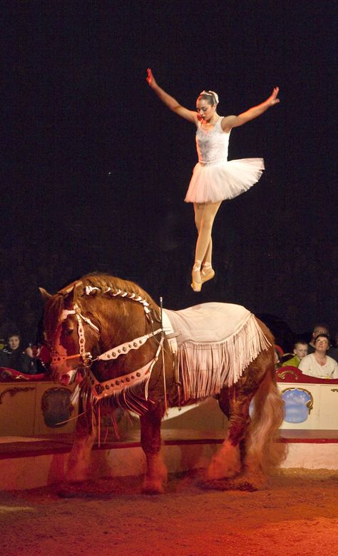 Volting Horse Acrobatics, Circus Ballerina, Vaulting Equestrian, Circus Horse, Horse Vaulting, Trick Riding, Trapeze Artist, Your Welcome, Draft Horse