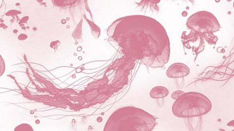 header | aesthetic cover photos | anime | bts kpop | background photo | desktop wallpaper Pink Jellyfish Wallpaper, Pink Wallpaper Pc, Pink Wallpaper Laptop, Pink Jellyfish, Pc Photo, Cocoppa Wallpaper, Cute Laptop Wallpaper, Desktop Wallpaper Art, Cute Headers
