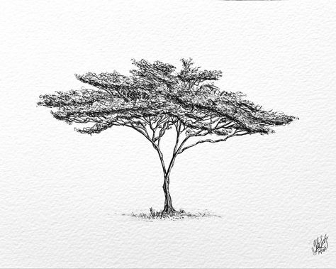 Acacia Tree Illustration, African Tree Drawing, Acacia Tree Drawing, African Tree Tattoo, Acacia Tree Tattoo, Acacia Tattoo, Tree Ink Drawing, Safari Tattoo, Tatoo Fonts