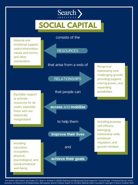 [Infographic] The Value of Social Capital for Young People | Search Institute Social Capital Quotes, Rustic Staircase, Social Capital, Young Leaders, People Search, Sociology, Emotional Support, Psych, Health Issues